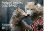 Obálka  - zadní strana
